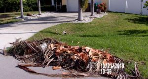 Noncompliant Horticultural Waste 2